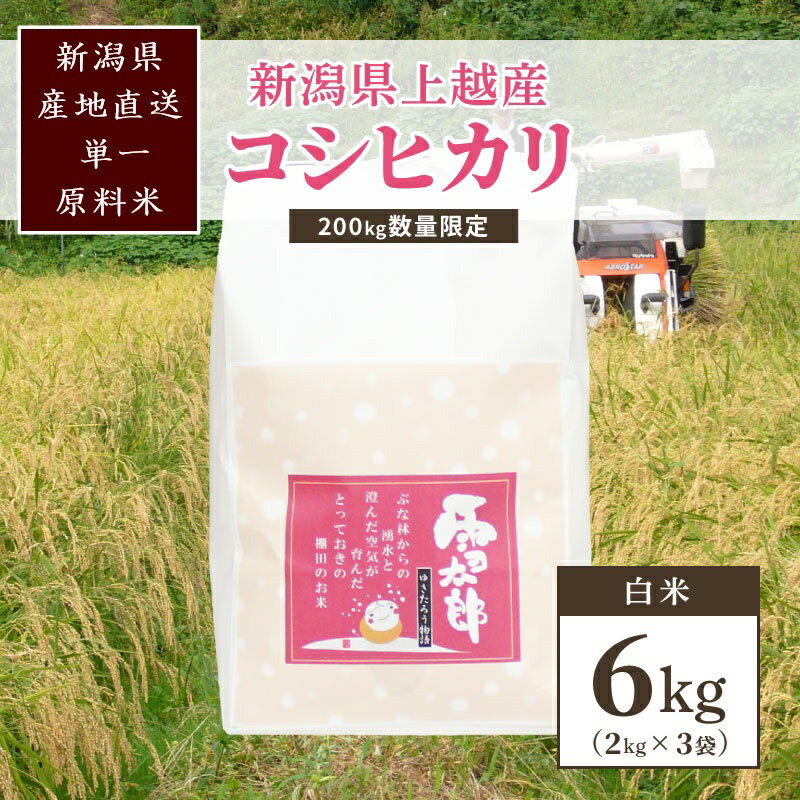 【ふるさと納税】【数量限定】令和7年/新潟上越産「標高480mの山間地で育てた棚田米コシヒカリ」精米6kg　お届け：ご注文後、2～3週間を目途に順次発送いたします。
