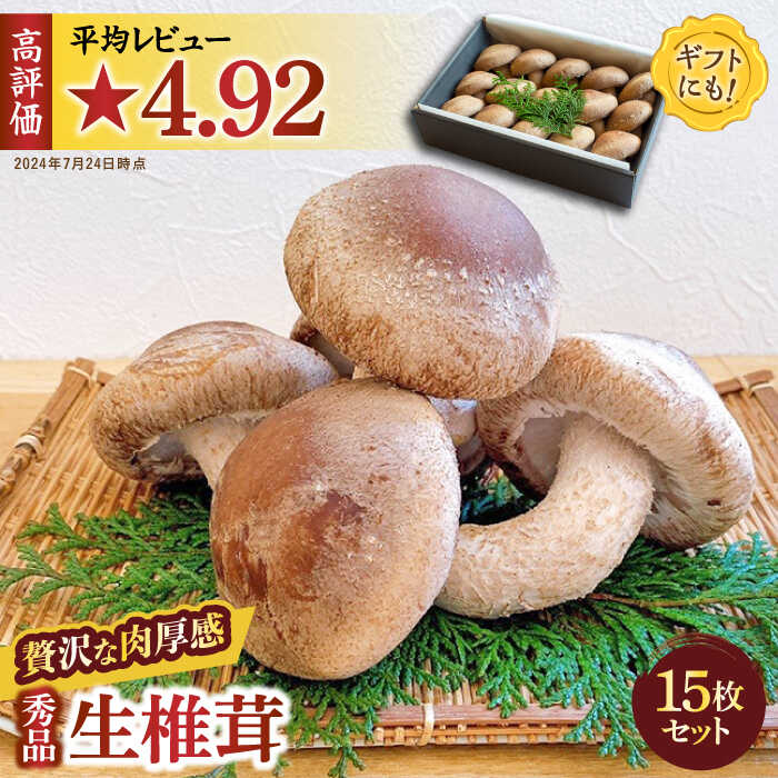 【ふるさと納税】【一度食べたら忘れられない】希少 肉厚 生しいたけ 秀品15枚セット 約900g / 生しいたけ 生シイタケ 生椎茸 きのこ キノコ 茸 / 南島原市 / サンエスファーム [SBX001]