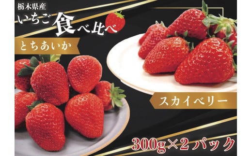 [先行予約・じゅわっと溢れだす] とちあいか＆スカイベリー食べ比べセット600g (12月中旬より順次発送予定)｜いちご 苺 フルーツ 果物 産地直送 [0422]