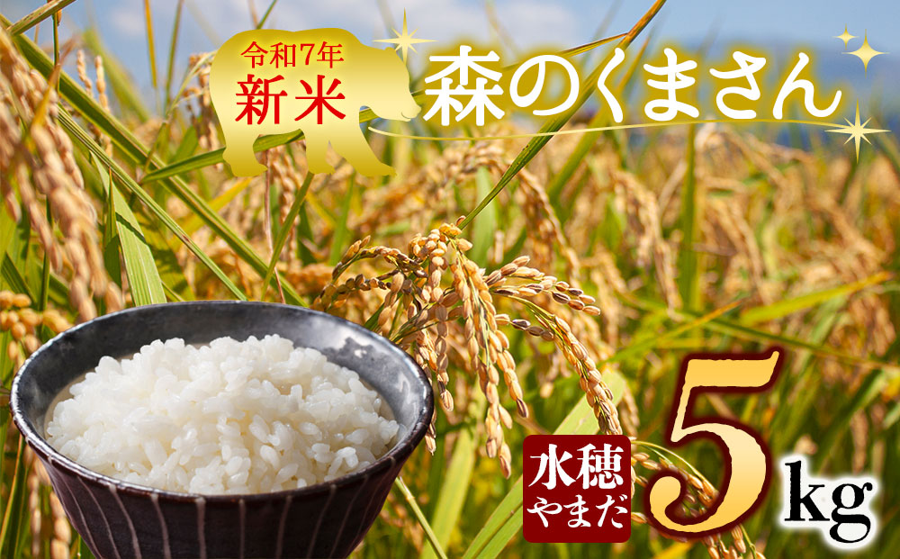 【予約】令和7年産 新米 森のくまさん 5kg 白米 水穂やまだ グランプリ獲得 R7年 お米 人気 美味しい  弾力 粘り 食感 湧水 ごはん 熊本県 阿蘇