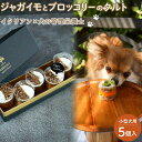 【ふるさと納税】ペットフード(犬のおやつ)　ジャガイモとブロッコリーのタルト　5個入り | ペット 犬 ドッグフード ドッグ いぬ 小型犬 愛犬 愛犬家 ケーキ タルト おやつ 手作り 栄養 犬用 福岡県 筑前町 ふるさと納税 送料無料