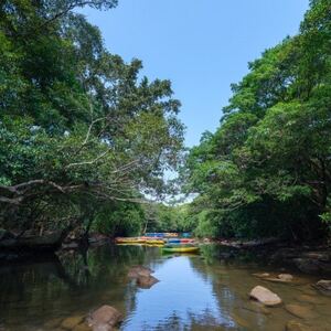 やんばるの自然を満喫!安田川ジャングルカヌー体験チケット2名様【1606644】
