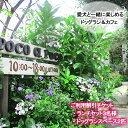 【ふるさと納税】 愛犬と楽しめるドッグランカフェ「ランチ3名様と広さ150坪のドッグランスペース2匹以上可能 愛犬用プリン」ご利用チケット 岡山県 倉敷市 Poco a Poco ポコアポコ　 ドッグカフェ お出かけ 犬連れ 食事 ご飯 自然豊か 岡山の食材 犬同伴OK