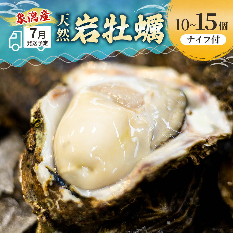 【ふるさと納税】【 先行予約 7月上旬～下旬発送予定】にかほ市産 岩牡蠣 10～15個 ナイフ付【 牡蠣 夏牡蠣 かき 象潟 魚介類 加熱用 海鮮 海産物 海の幸 】　お届け：2026年7月1日～2026年8月10日※状況によって希望通りお届けできない場合もあります。