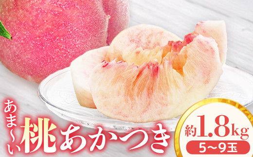 アグリスタくましろのあまーい桃『あかつき』約1.8kg　＜2026年7月中旬～7月下旬発送予定＞