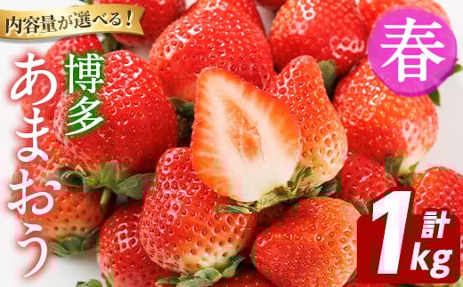 
            ＜先行予約受付中！2026年2月上旬以降順次発送予定＞博多 あまおう《春》 (計1kg・250g～270g×4パック) いちご イチゴ 苺 ストロベリー 果物 フルーツ おやつ デザート 冷蔵 アマオウ 旬 小分け 【農産物直売所ほたるの里】as52-009
          