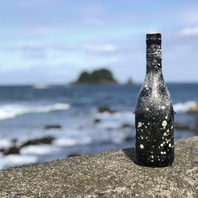 
純米吟醸潜酔酒(海底熟成日本酒)【1380233】

