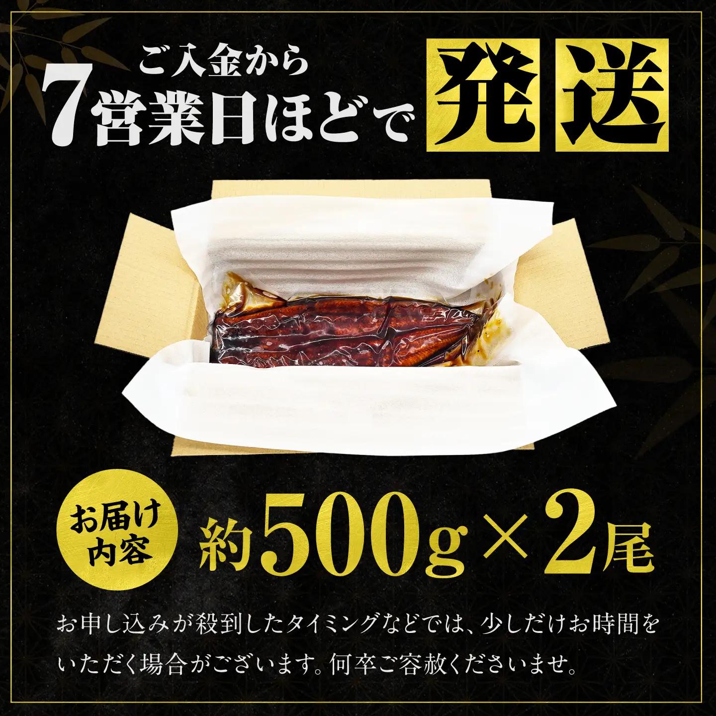 【新登場】 うなぎの蒲焼 2尾(1尾約500g) [AFBS032-CP]