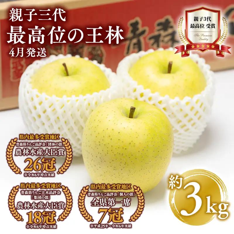 りんご  王林 約3kg りんご