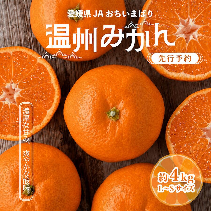 【ふるさと納税】【先行予約】瀬戸内の温州みかん 4kg L〜S JA選果品 | みかん ミカン 温州ミカン 温州みかん 甘いみかん 愛媛みかん 果物 フルーツ 柑橘 限定 JA選果品 愛媛県 上島町