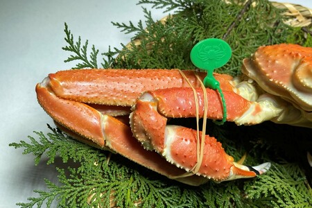 間人漁港仲買人の丸友鮮魚三代目・自慢の間人ガニ訳アリ≪茹で≫[1匹 600～700g×2匹]