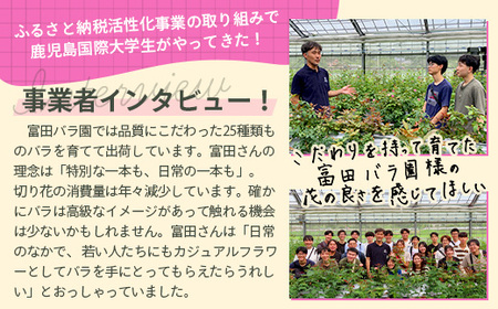【人気の春・冬薔薇をお届け】 ばら農家直送 ！ バラ花束30本以上お届け(色はおまかせ) 【ギフト対応可】TB-16 │ ローズ 新鮮 花 フラワー 花束 ばら 薔薇 バラ 誕生日 記念日 結婚祝い 