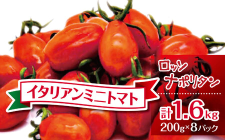 【2025年先行予約】イタリアンミニトマト　ロッソナポリタン1.6㎏|  鈴木アル・ファーム 野菜 トマト ミニトマト プチトマト トマト 高リコピン 小分け とまと 千葉 君津 きみつ