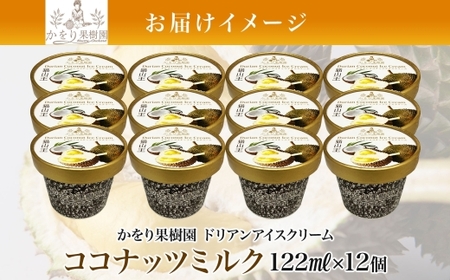 ドリアン ココナッツ アイスクリーム 122ml 12個 セット 濃厚 ココナッツミルク カップアイス スイーツ お菓子 ソフトクリーム おやつ デザート ご当地アイスセット 詰め合わせ お取り寄せ 
