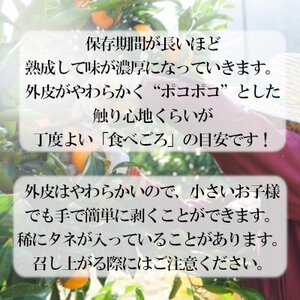 「甘柑はるみ」贈答用3kg【C79-23】【1474167】