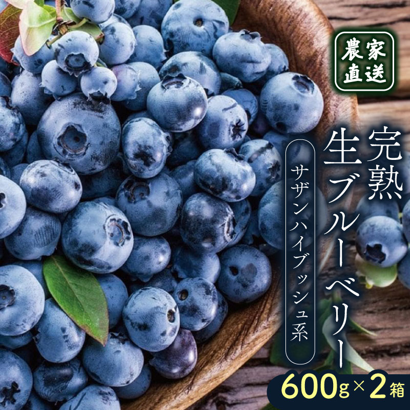 【ふるさと納税】 農家直送 完熟生ブルーベリー（サザンハイブッシュ系）600g×2箱 2026年発送 早期予約 土佐ひらやま農園 ブルーベリー フルーツ 果物 くだもの 食品 人気 美容 おすすめ 期間限定 数量限定 高知県 南国市
