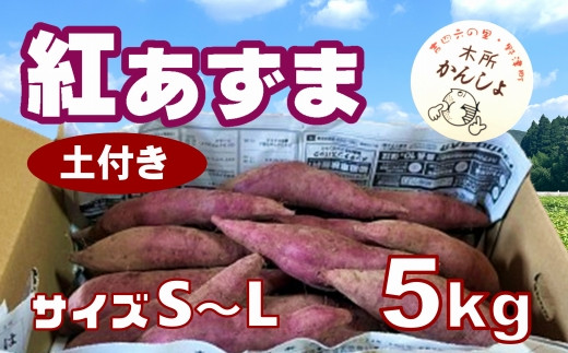 
            ホクホク甘い 木所かんしょ（紅あずま）５㎏【栽培期間中化成肥料不使用】土付き さつまいも
          