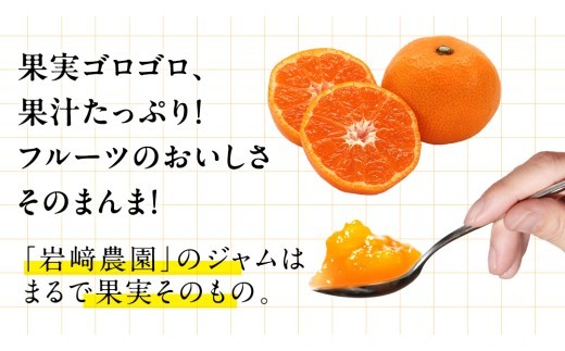 果肉たっぷり！フレッシュな無添加ジャム