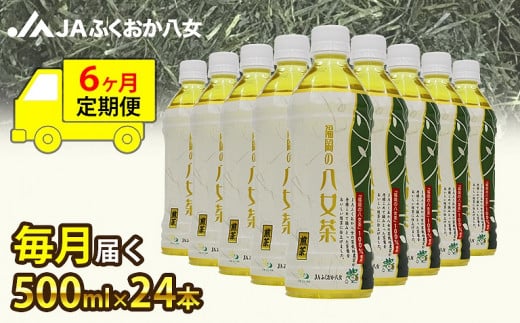 【6ヶ月連続お届け】福岡の八女茶 煎茶ペットボトル（500ml×24本）産地直送