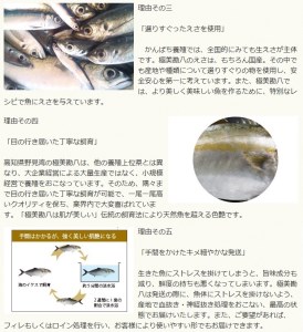 カンパチ 勘八 1節 セット 高級 魚 極美勘八 産地直送 刺身 ぶりしゃぶ 照り焼き 刺し身 高知県 須崎市 ( カンパチ 極美勘八 養殖 カンパチ 勘八 須崎 カンパチ 刺身 カンパチ )