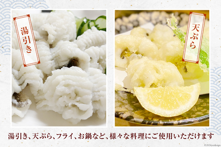 鱧 定期便 カット済み 骨切り 鱧切り身 1kg 3回 総計3kg [とり信 徳島県 北島町 29aj0009] 切り身 冷凍 国産 ハモ はも 骨切り