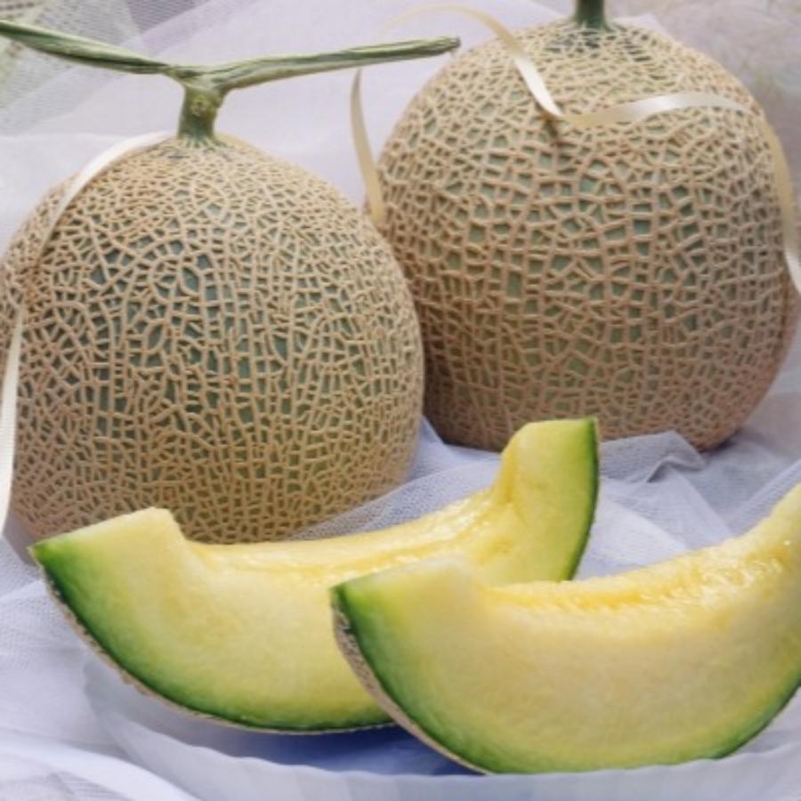 ＜長洲農園＞品質優良賞受賞 茨城県産 アールスメロン 特秀 贈答規格 1玉