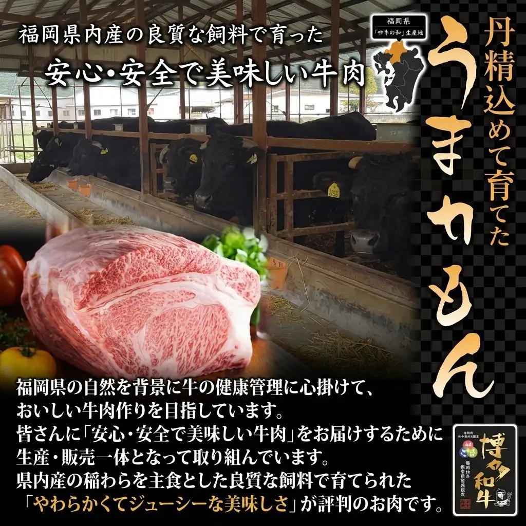博多和牛 モモ 焼肉用・スライス 計800g (各400g) 博多和牛