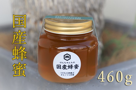 けんちゃんちのはちみつ 460g《30日以内に出荷予定（土日祝除く）》ふるさと納税 はちみつ ハチミツ 蜂蜜 国産蜂蜜 天然蜜蜂 徳島県 佐那河内村 送料無料