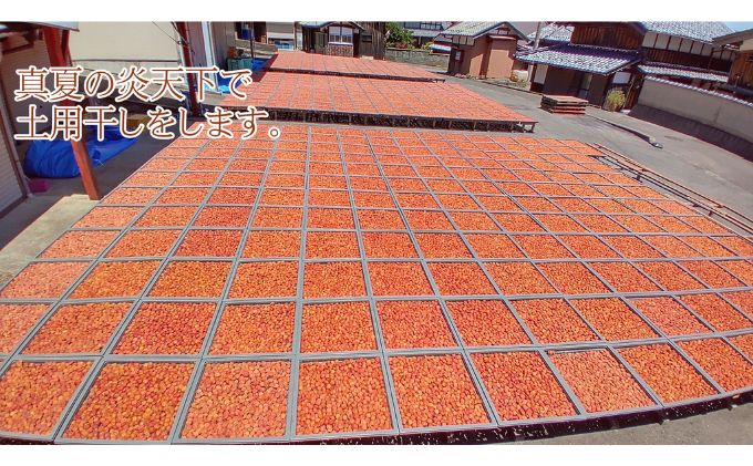 昔ながらの梅干し 一級品（福井県若狭町）伝統製法にこだわり仕上げた無添加・無着色の梅干し／ケース入り1kg ご飯のお供 肉厚 種が小さい 紅映 天然塩 鮮やか 芳醇な香り コク 紫蘇漬け 二度漬け す