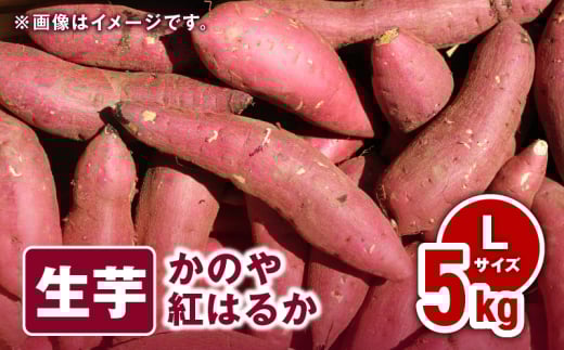 1675 かのや紅はるか 生芋Lサイズ 5kg　KN011-003-01