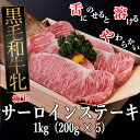 【ふるさと納税】黒毛和牛牝 サーロインステーキ　1kg（200g×5）