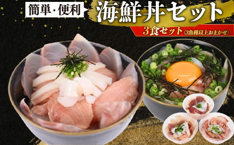 
                  海鮮丼 おまかせ3種以上 × 3セット | 天然 刺身 冷凍 切り身 マグロ カツオ カンパチ 海鮮 セット 魚介 詰め合わせ おまかせ 小分け 簡単調理 時短 家庭用 年末 年始 グルメ ギフト 贈答 お取り寄せ 前田水産 高知県室戸市
                