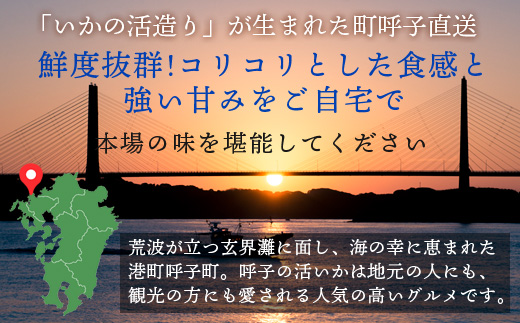 『予約受付』呼子のいか活造り2杯! コリコリ甘い鮮度抜群の透明感! 約200g×2(合計約400g) 刺身 ギフト 冷凍 ※水揚げあり次第6月以降順次発送させていただきます。