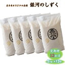 【ふるさと納税】『 予約受付 / 令和 6年産 』 12ヶ月 お米 定期便 銀河のしずく 5kg ＼2024年11月発送開始 ／400年続く農家が育てた菅野家の お 米 白米 精米 ごはん 減農薬 岩手県 オリジナル品種 菅野俊