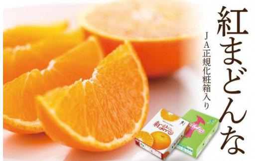 【11月中旬から発送】 紅まどんな＜JA正規化粧箱入り＞約3kg 紅まどんな みかん 贈答 ギフト プレゼント 高級 柑橘 松山 愛媛県 ベニマドンナ 愛媛県産紅まどんな フルーツ 果物 柑橘 みかん ミカン えひめ 愛媛県松山市 まどんな マドンナ 愛媛が誇るブランド柑橘 べにまどんな プレミアム柑橘 高級柑橘 こうきゅうかんきつ Ｋｏｋｏ’ｏの紅まどんな ココオのべにまどんな 果汁たっぷり
