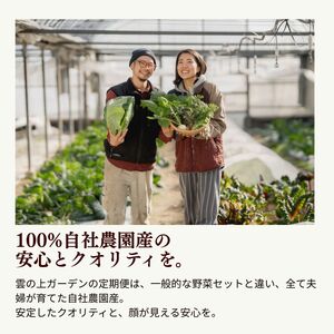 季節の彩り野菜セット（１回お届け）【L001】