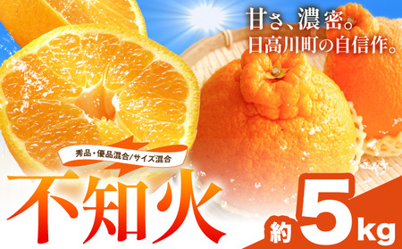 不知火 秀品・優品混合/サイズ混合 5kg 中畑農園 しらぬい 柑橘