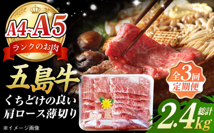 
            【全3回定期便】 極上 やみつき 五島牛 薄切り 800g 国産牛 牛肉 ブランド牛 焼き肉 五島市/肉のマルヒサ [PCV012]
          