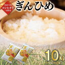 【ふるさと納税】 三重県産 コシヒカリ ぎんひめ 精米 5kg×2袋（ 合計 10kg ） ふるさと納税 ふるさと 米 コメ こめ おこめ ギフト プレゼント 贈答 贈り物 御祝い お祝い返礼品 人気 お取り寄せ 三重米 お米 新米 白米 精米 ブランド米 国産 JA