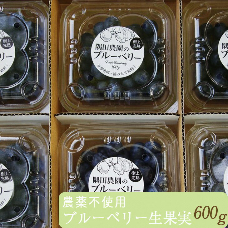 【ふるさと納税】【先行予約】＜すだ農園＞栽培期間中農薬不使用 朝摘み ブルーベリー 生果実 600g◇ ｜ 果実 新鮮フルーツ ※北海道・沖縄・離島への発送不可 ※2026年7月上旬～8月中旬頃に順次発送予定 ☆月間MVPふるさと納税賞 第1号（2020年10月）・SDGs未来都市亀岡