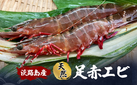 えび 淡路島産 足赤エビ 天然 殻付き えび