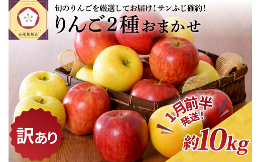 【2027年1月前半発送】 【訳あり】 りんご 約10kg サンふじ確約 青森産 品種おまかせ2種以上
