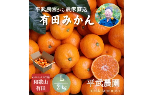 
                  農家直送！有田みかん（2kg Lサイズ 秀品）平武農園　～蛍飛ぶ町から旬の便り～
                