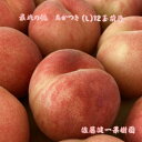 【ふるさと納税】6-016-018　サトケンさんの桃「あかつき」Lサイズ 2.8kg　【果物・もも・桃・フルーツ・果物類・フルーツ】　お届け：9月～発送