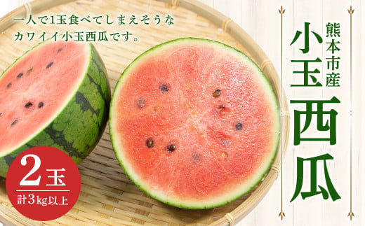 小玉西瓜 2玉入 1玉あたり1.5kg以上 すいか スイカ【2025年4月下旬～7月上旬発送予定】