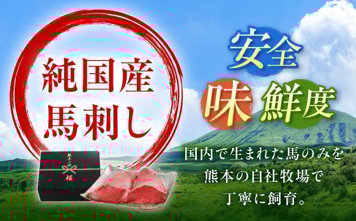 馬刺し ばさし 馬刺 馬 馬肉 肉 バサシ 赤身 赤身馬刺し シャトーブリアン チルド ブロック 九州 熊本
