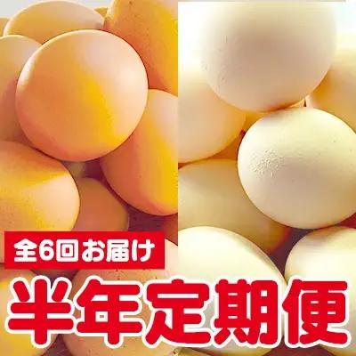 ひまわりたまご紅白セット　半年セット※破卵補償