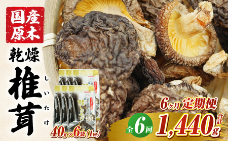 【6ヶ月定期便】乾燥しいたけ 240g（40g×6袋）×6回 1,440g_Tk004-t041
