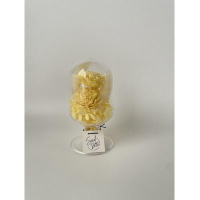 ふるさと納税 枚方市 【黄色系】天球bottle flowers　Msize |  | 01