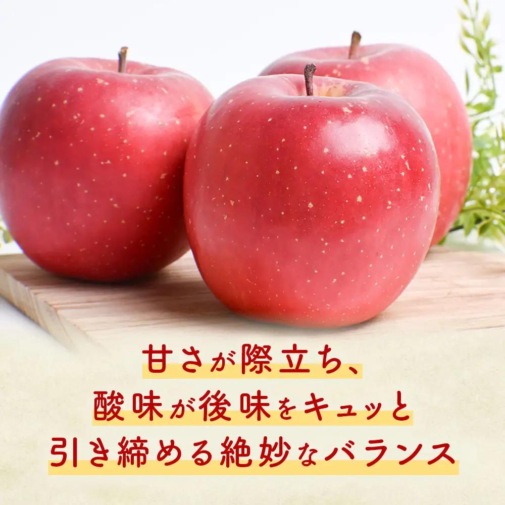 青森県産りんご 早生ふじ 約5kg りんご 9月下旬～